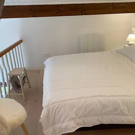 Apartment Eden Roc Grand Massif Les Carroz d'Araches